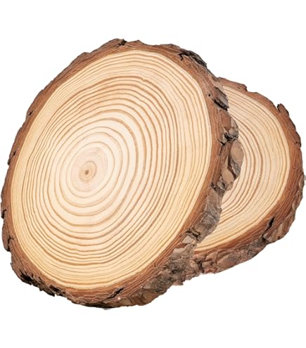 Presentatie boomschijf 14cm